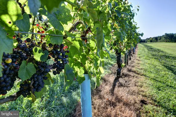 $3,495,000 | 1025 Goodluck Road, Lancaster, VA 22503