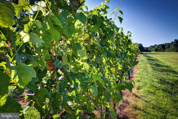 $3,495,000 | 1025 Goodluck Road, Lancaster, VA 22503