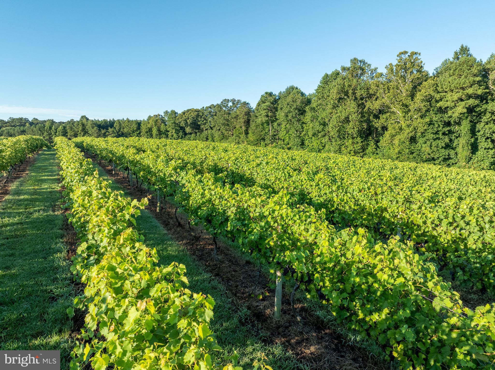 1025 Goodluck Road Lancaster, VA 22503 - Photo 16 of 132