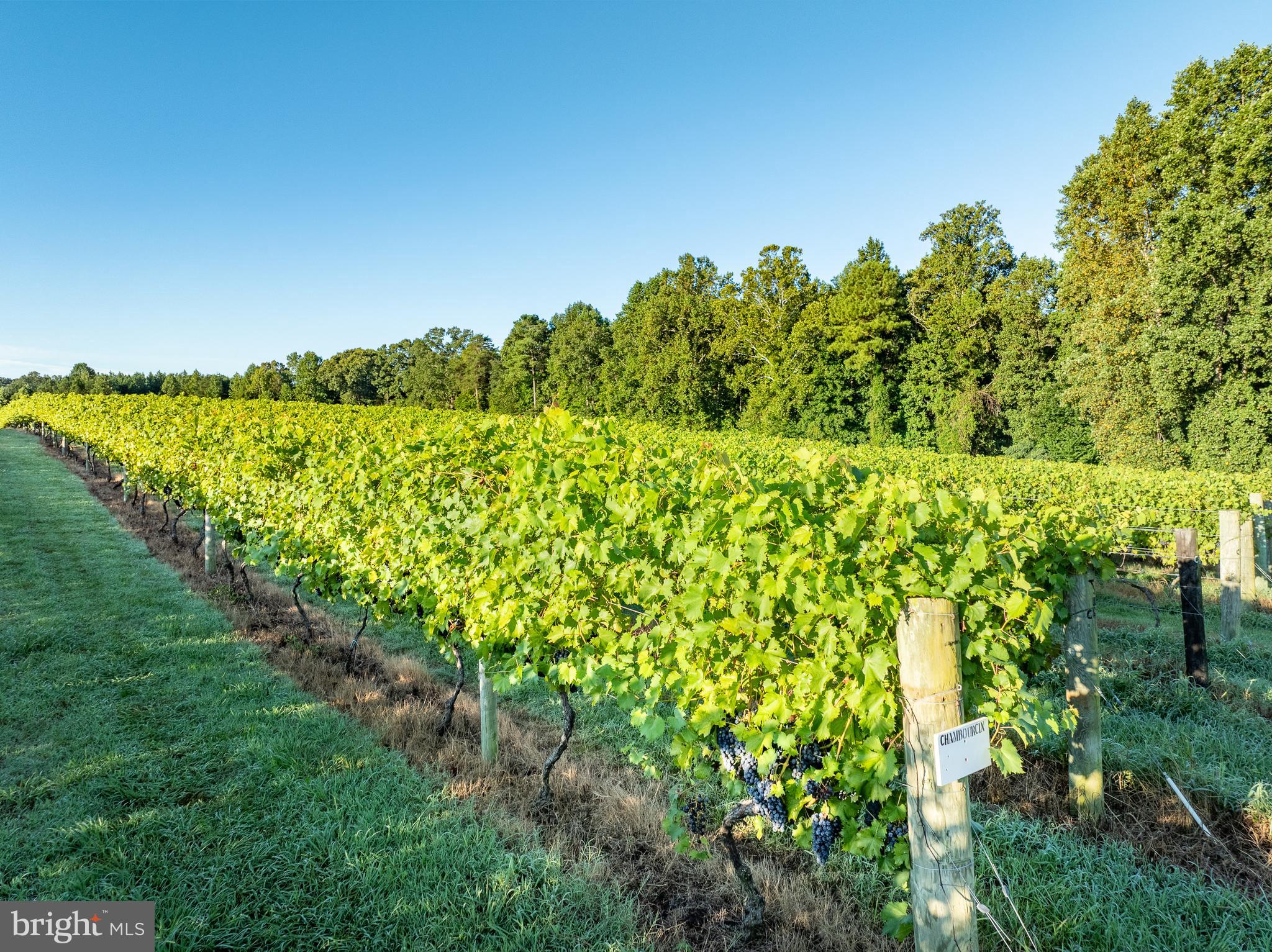 1025 Goodluck Road Lancaster, VA 22503 - Photo 17 of 132 a view of a garden