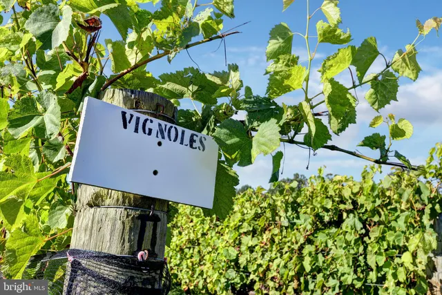a living room with furniture a couch and a book shelf