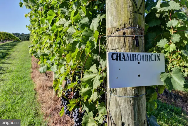 a living room with dining room and wooden floor