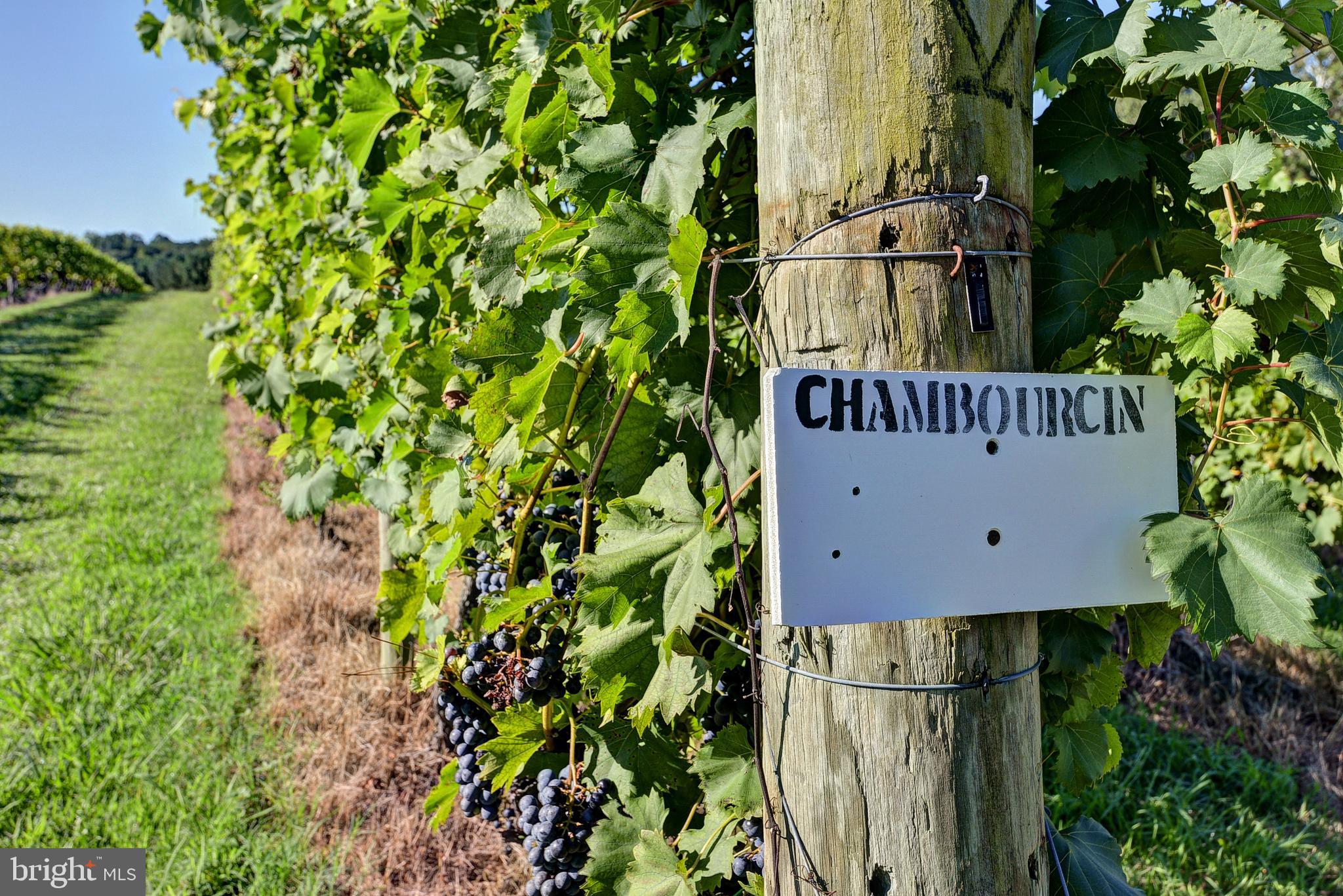 1025 Goodluck Road Lancaster, VA 22503 - Photo 22 of 132 a view of a brick wall with plants and wooden fence