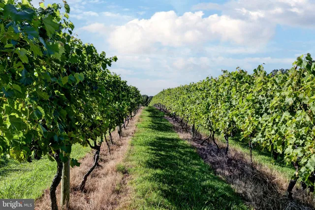 a living room with furniture a wooden floor and a table
