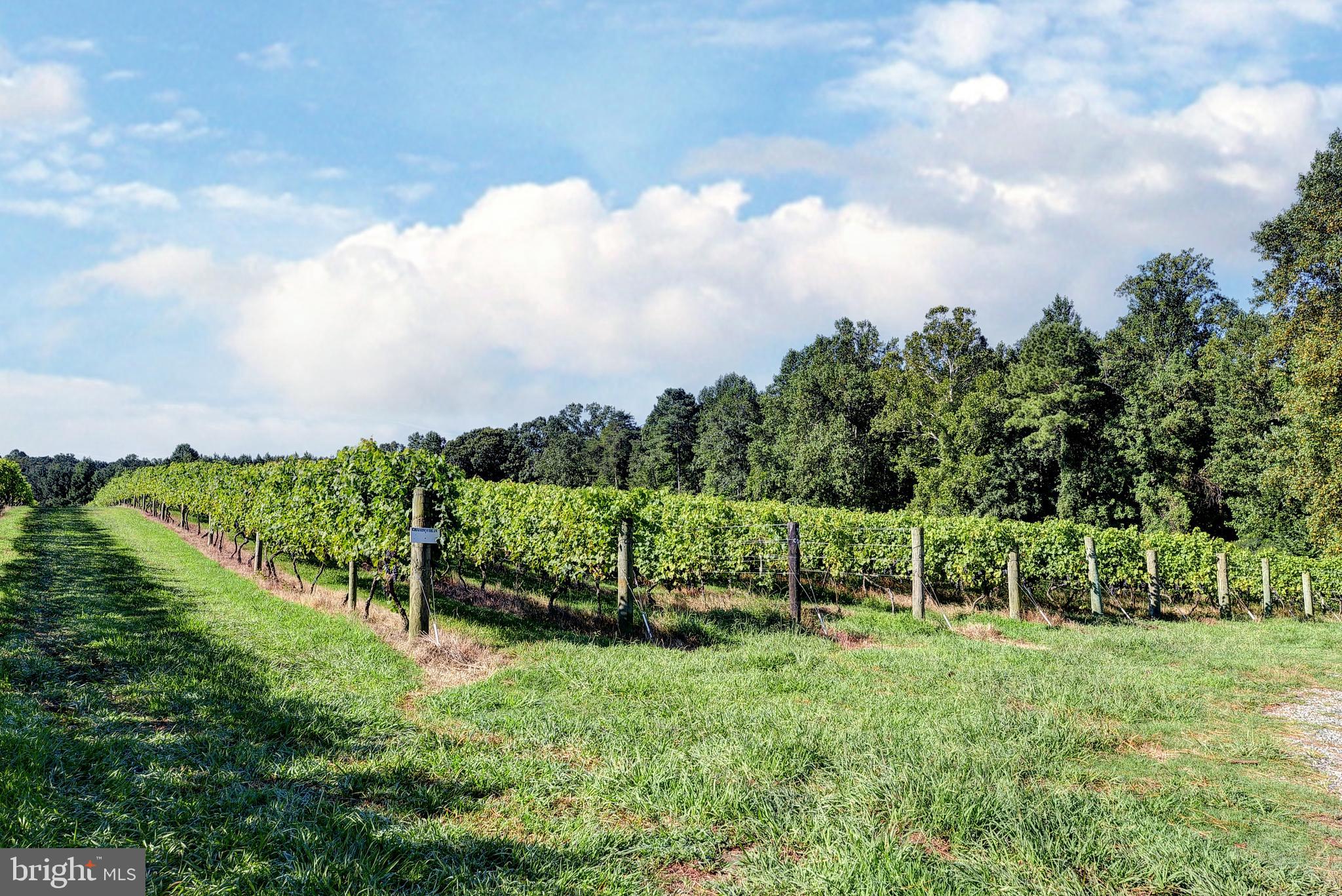 1025 Goodluck Road Lancaster, VA 22503 - Photo 24 of 132 a view of a garden