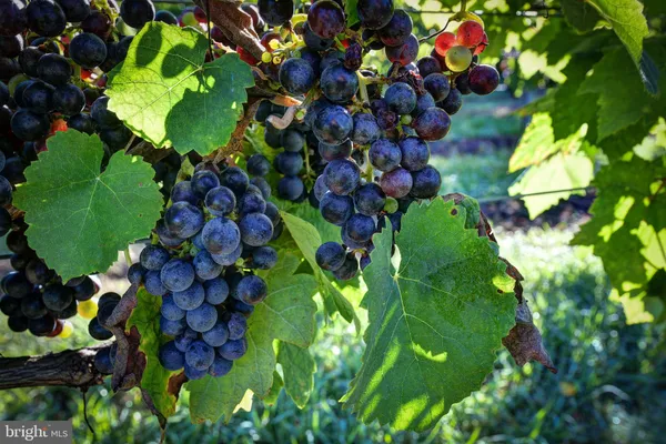 a view of entryway with washer and dryer