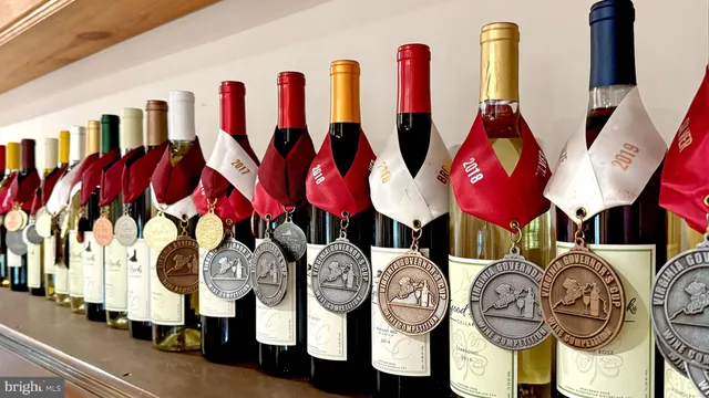 a view of a chairs and tables in patio