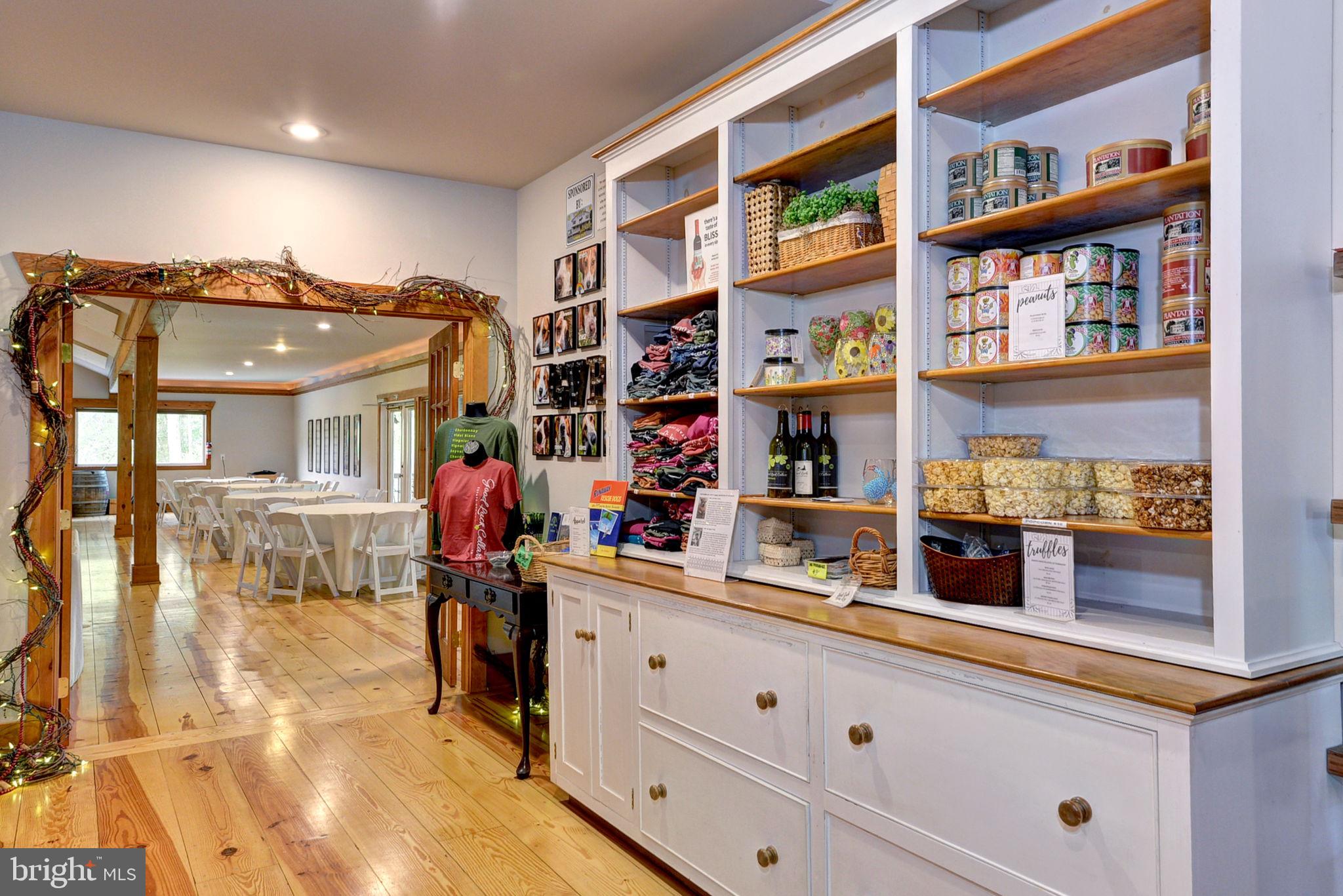 1025 Goodluck Road Lancaster, VA 22503 - Photo 47 of 132