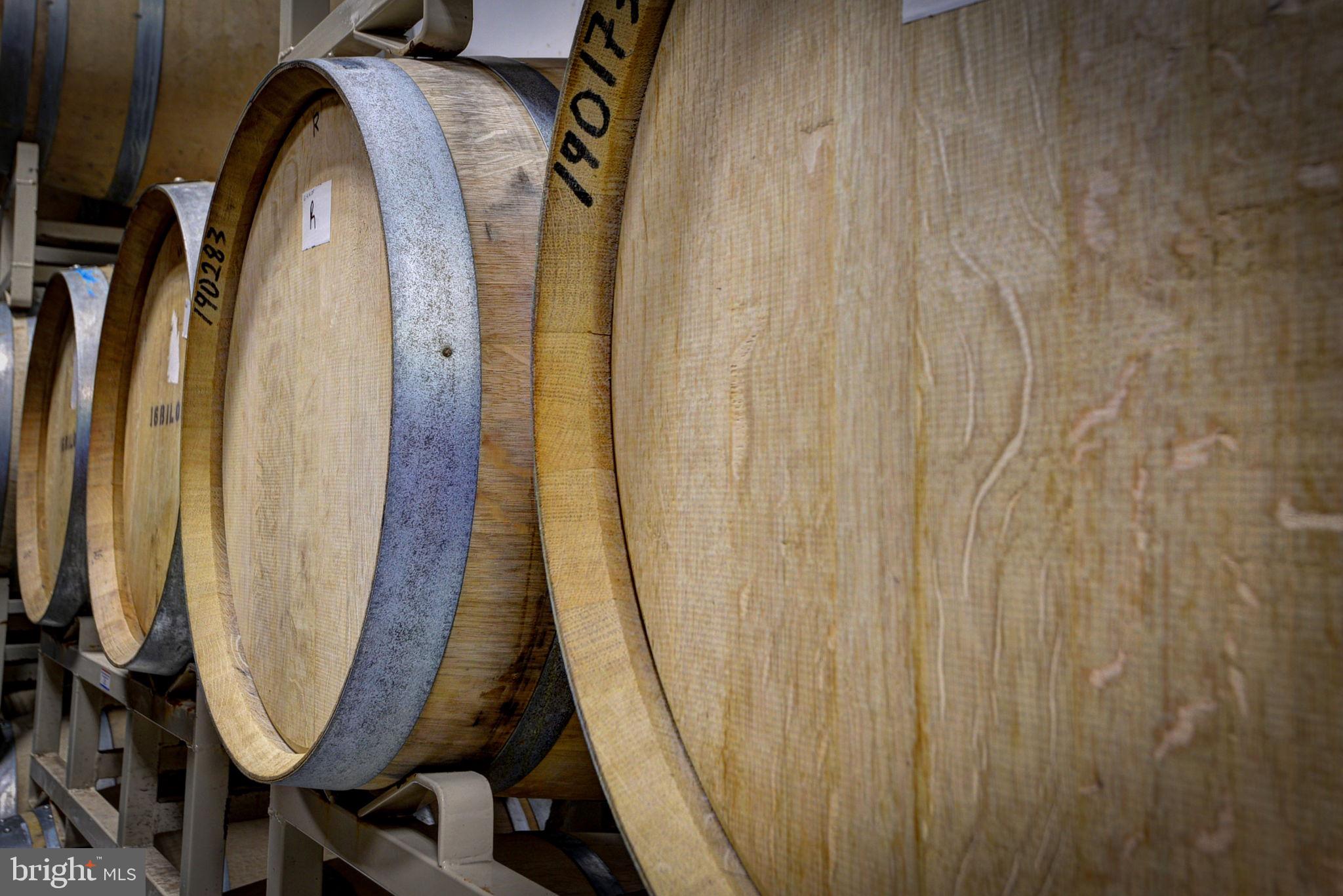 1025 Goodluck Road Lancaster, VA 22503 - Photo 76 of 132 a view of a mirror with a bathroom