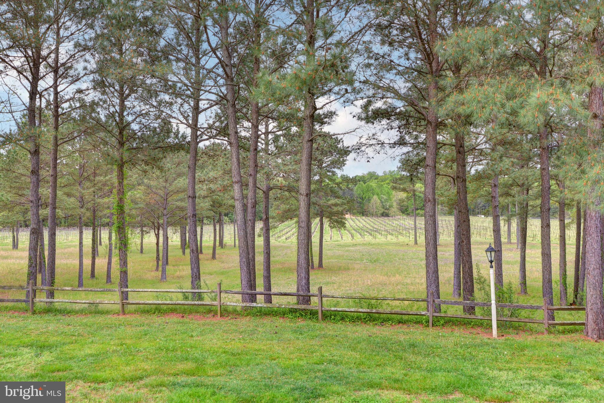 1025 Goodluck Road Lancaster, VA 22503 - Photo 84 of 132