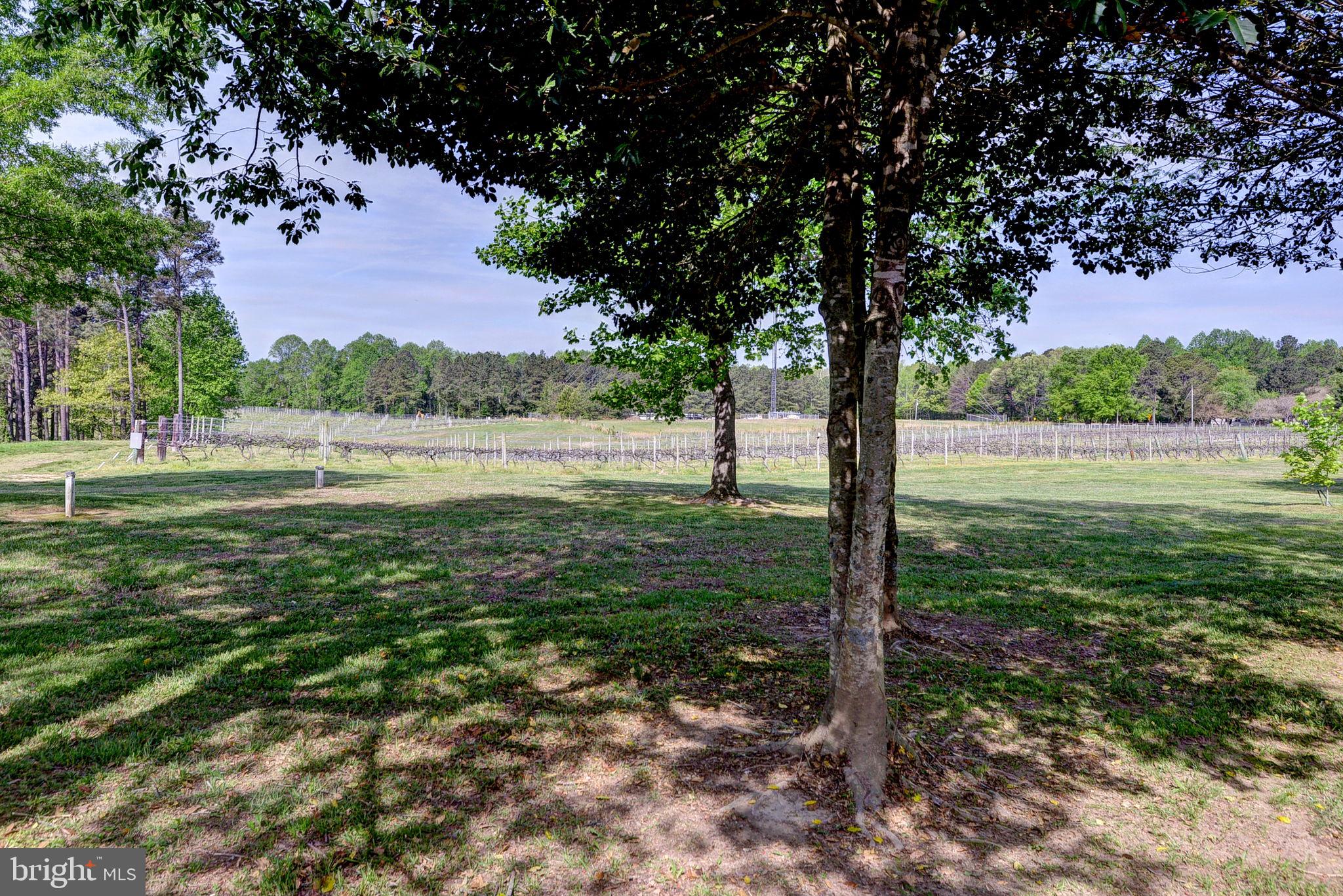 1025 Goodluck Road Lancaster, VA 22503 - Photo 85 of 132 a big yard with lots of green space and trees