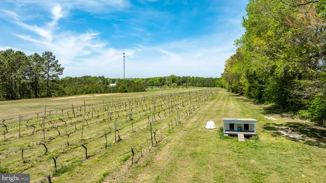 $3,495,000 | 1025 Goodluck Road, Lancaster, VA 22503