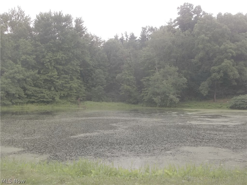 12049 Lick Run Road Newcomerstown, OH 43832 - Photo 13 of 21 Gallery Image 13