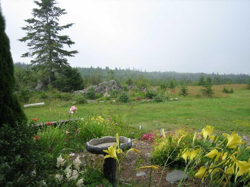 758 Dixie Road Lubec, ME 04652 - Photo 5 of 14 Yard/Garden.