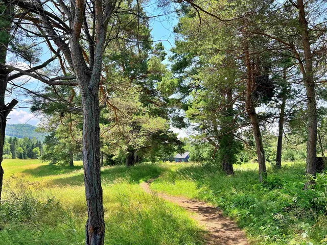 $375,000 | 0 River Run Road, Unit 1, Lyndonville, VT 05851