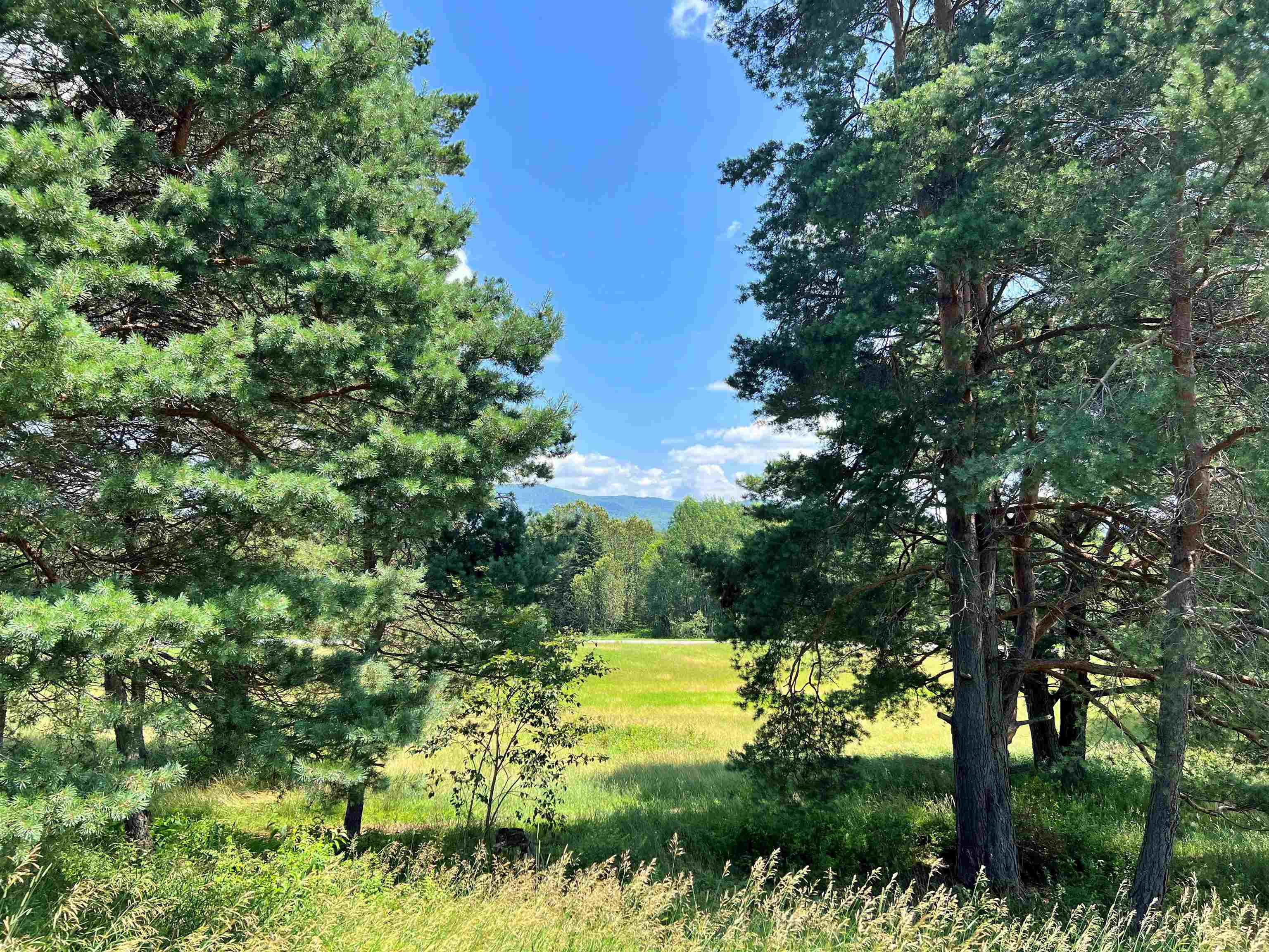 0 River Run Road, Unit 1 Lyndonville, VT 05851 - Photo 9 of 16