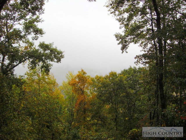 384 Wildwood Run Road Banner Elk, NC 28604 - Photo 21 of 29 Gallery Image 21