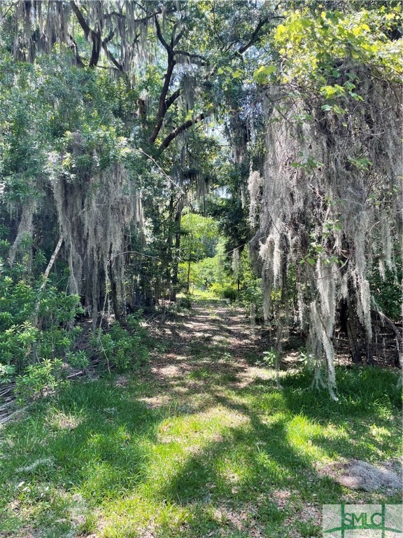 0 Vernon Cross Road Savannah, GA 31419 - Photo 5 of 7 Gallery Image 5
