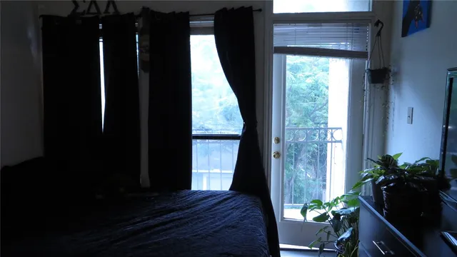 a view of backyard with potted plants