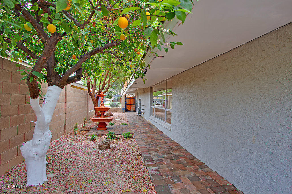 1510 West Ruth Avenue Phoenix, AZ 85021 - Photo 22 of 31 Fruit Trees
