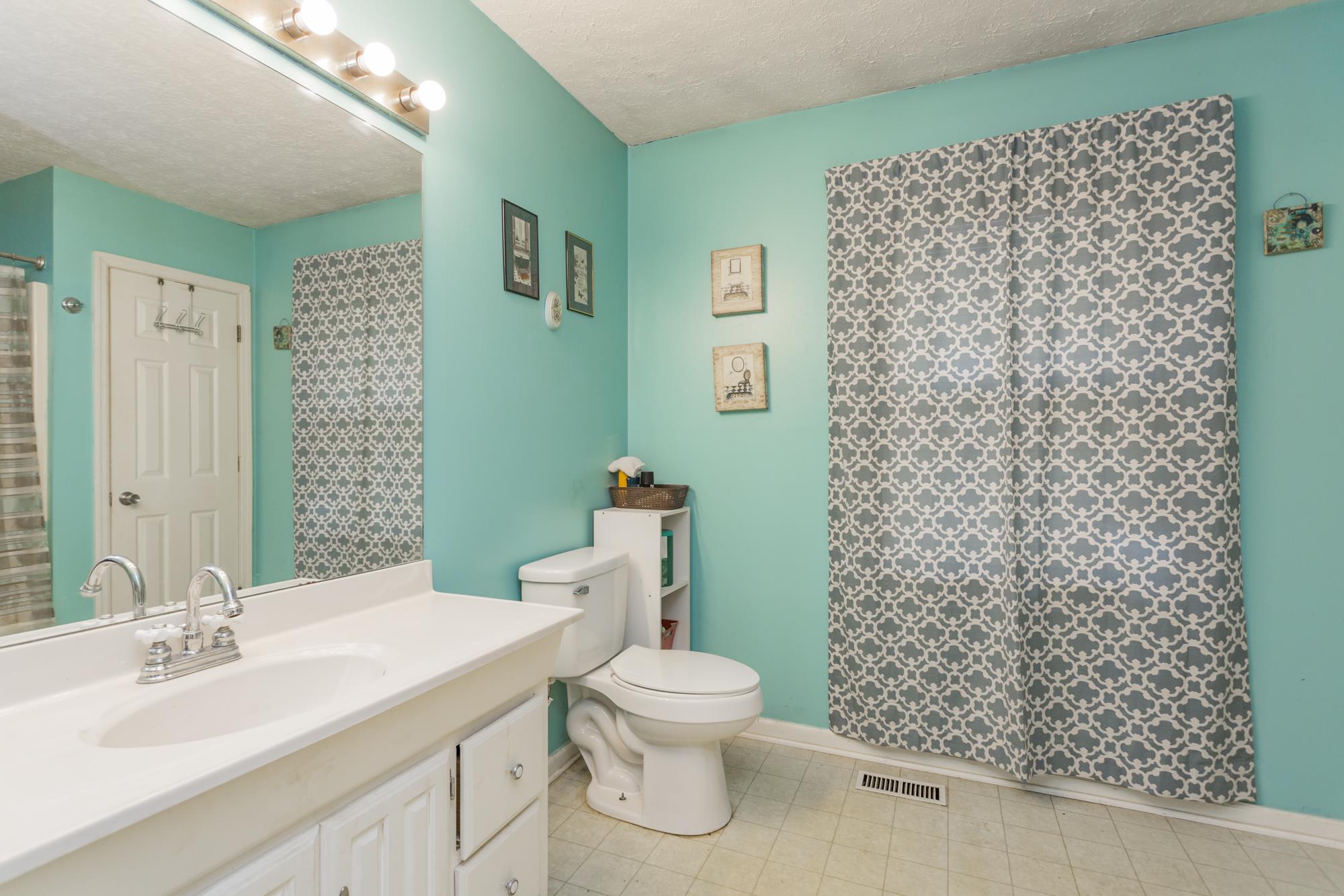 104 Valley Drive Springfield, TN 37172 - Photo 5 of 13 Master bathroom is bright and cheerful to start your day off right!