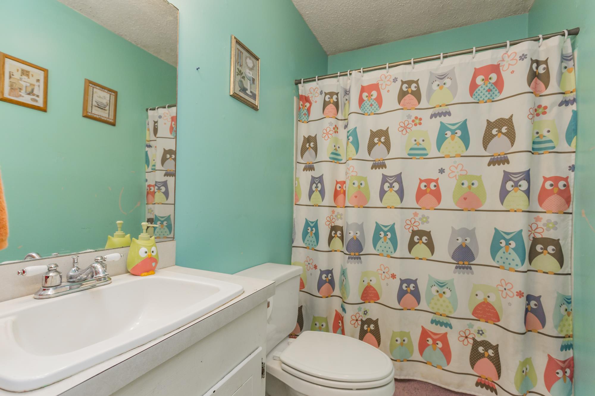 104 Valley Drive Springfield, TN 37172 - Photo 9 of 13 The hall bath is also painted a cheerful color, perfect for the kids space!