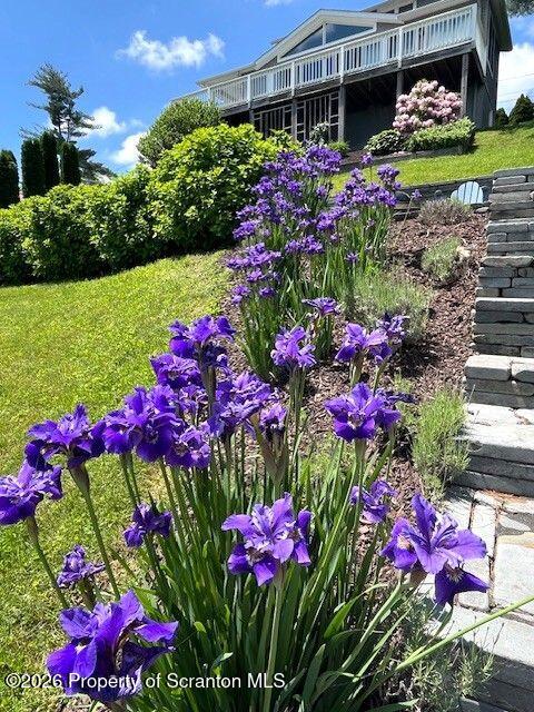 338 Point Road Factoryville, PA 18419 - Photo 17 of 55 a view of a flowers in a yard