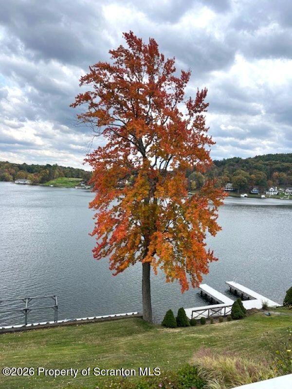 338 Point Road Factoryville, PA 18419 - Photo 23 of 55 a view of a lake