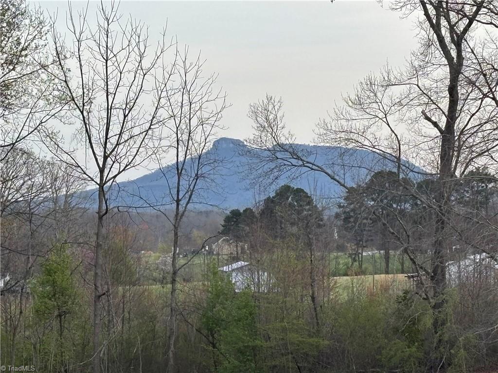View from lot of Pilot Mountain