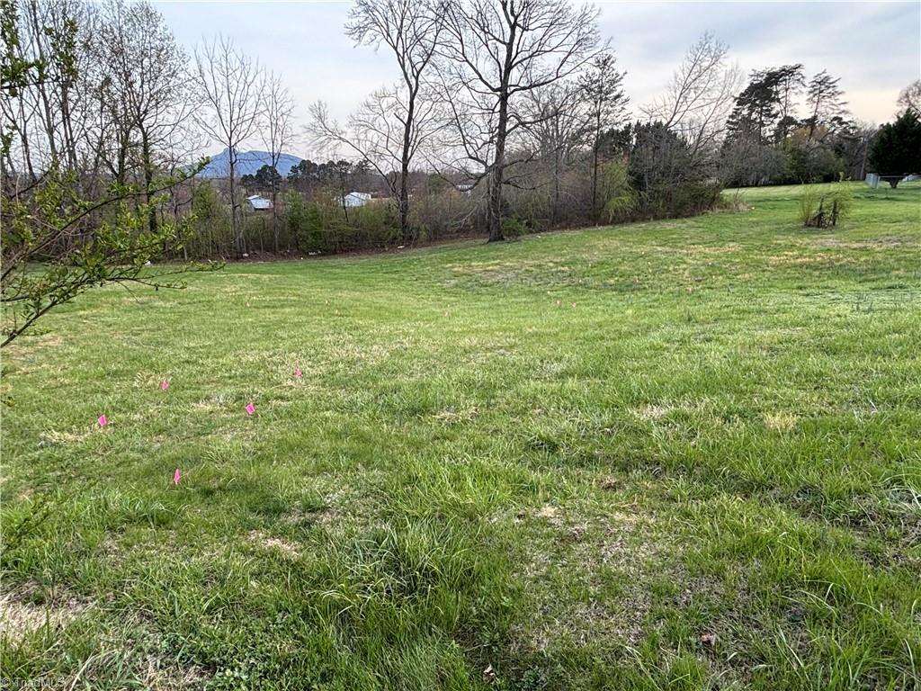 166 Springfield Road Pilot Mountain, NC 27041 - Photo 4 of 6