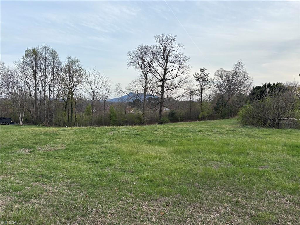 166 Springfield Road Pilot Mountain, NC 27041 - Photo 5 of 6