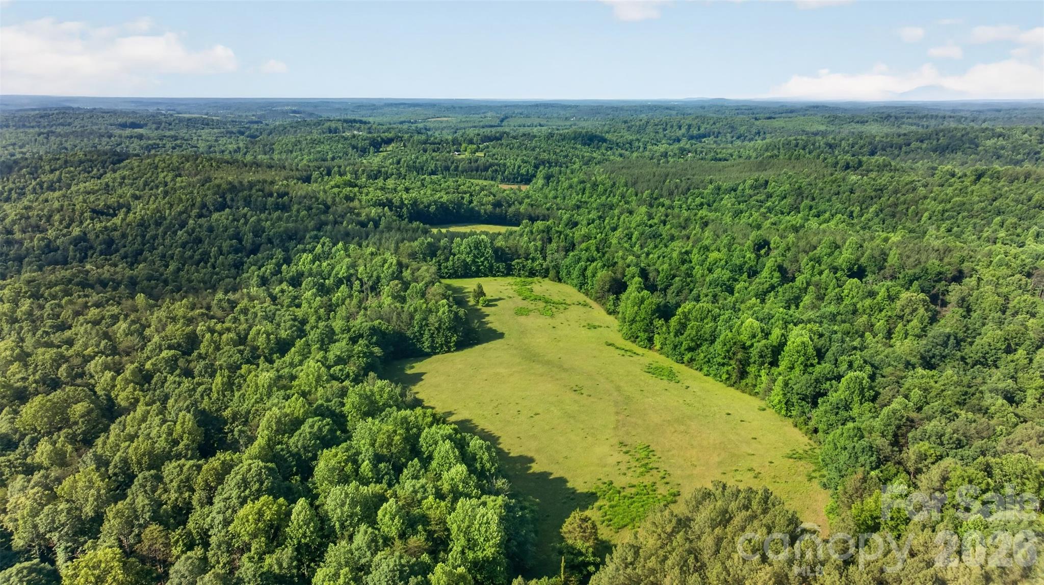 485 Frog Creek Road Union Mills, NC 28167 - Photo 10 of 44