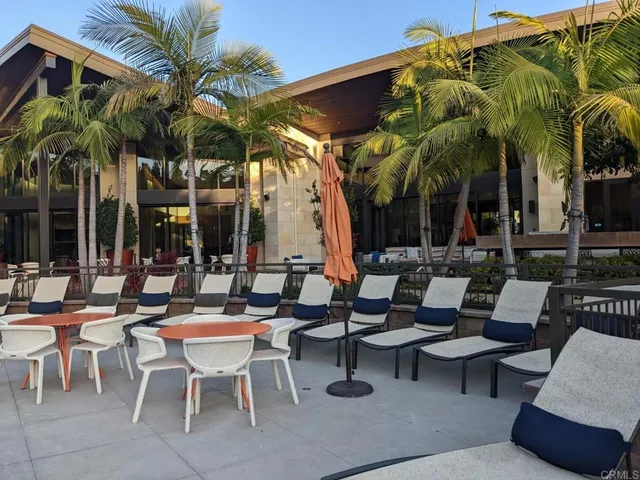 a view of a swimming pool with a lawn chairs under palm trees