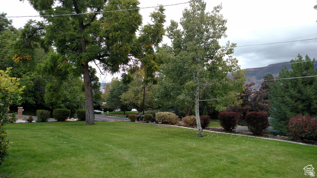 1360 Carterville Road Orem, UT 84097 - Photo 56 of 64 Expansive green lawn with mature trees and diverse landscaping