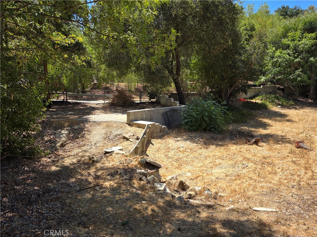 23311 Valdez Road Topanga, CA 90290 - Photo 3 of 12 a view of yard with trees
