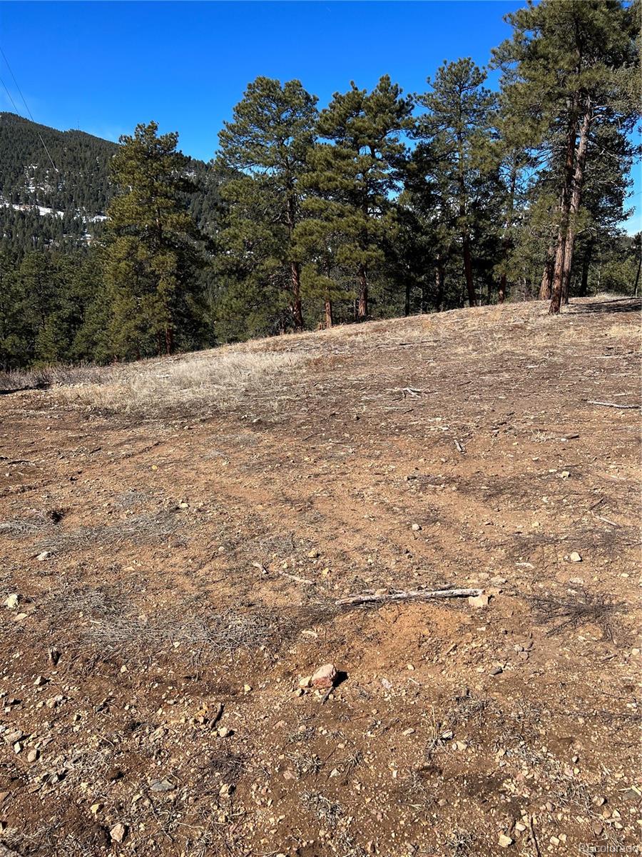 Lot 1 Iowa Gulch Road Morrison, CO 80465 - Photo 2 of 2 a view of empty space and mountain view