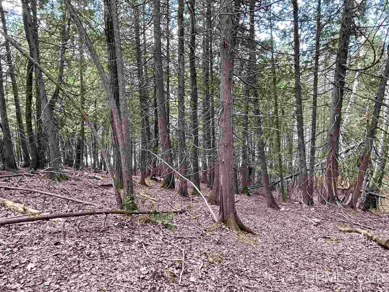 5861 Ll Road Garden, MI 49835 - Photo 11 of 18