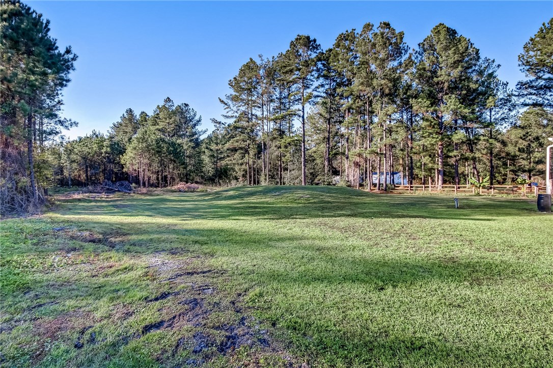 46713 Middle Road Hilliard, FL 32046 - Photo 34 of 35 a view of a golf course