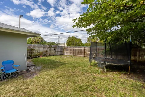 a view of a backyard with plants and a large tree