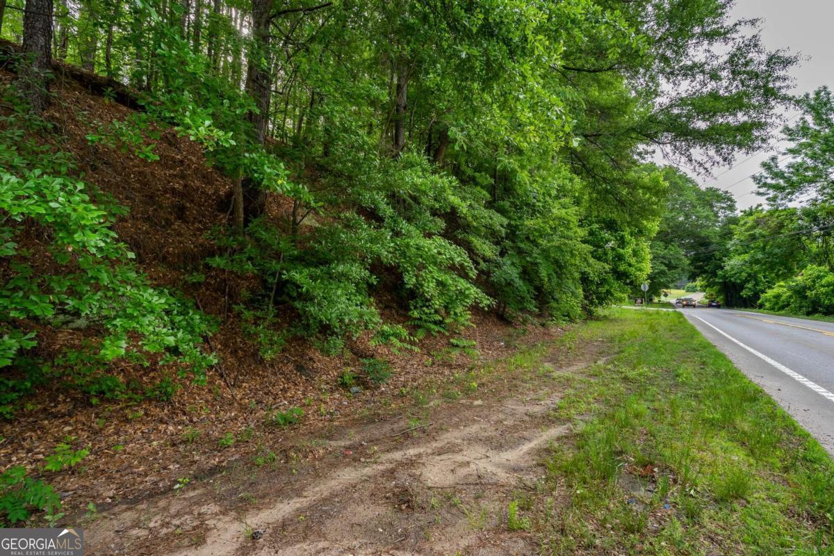 4.5-ac Hickory Flat Road Woodstock, GA 30188 - Photo 13 of 20 a view of a yard with a tree