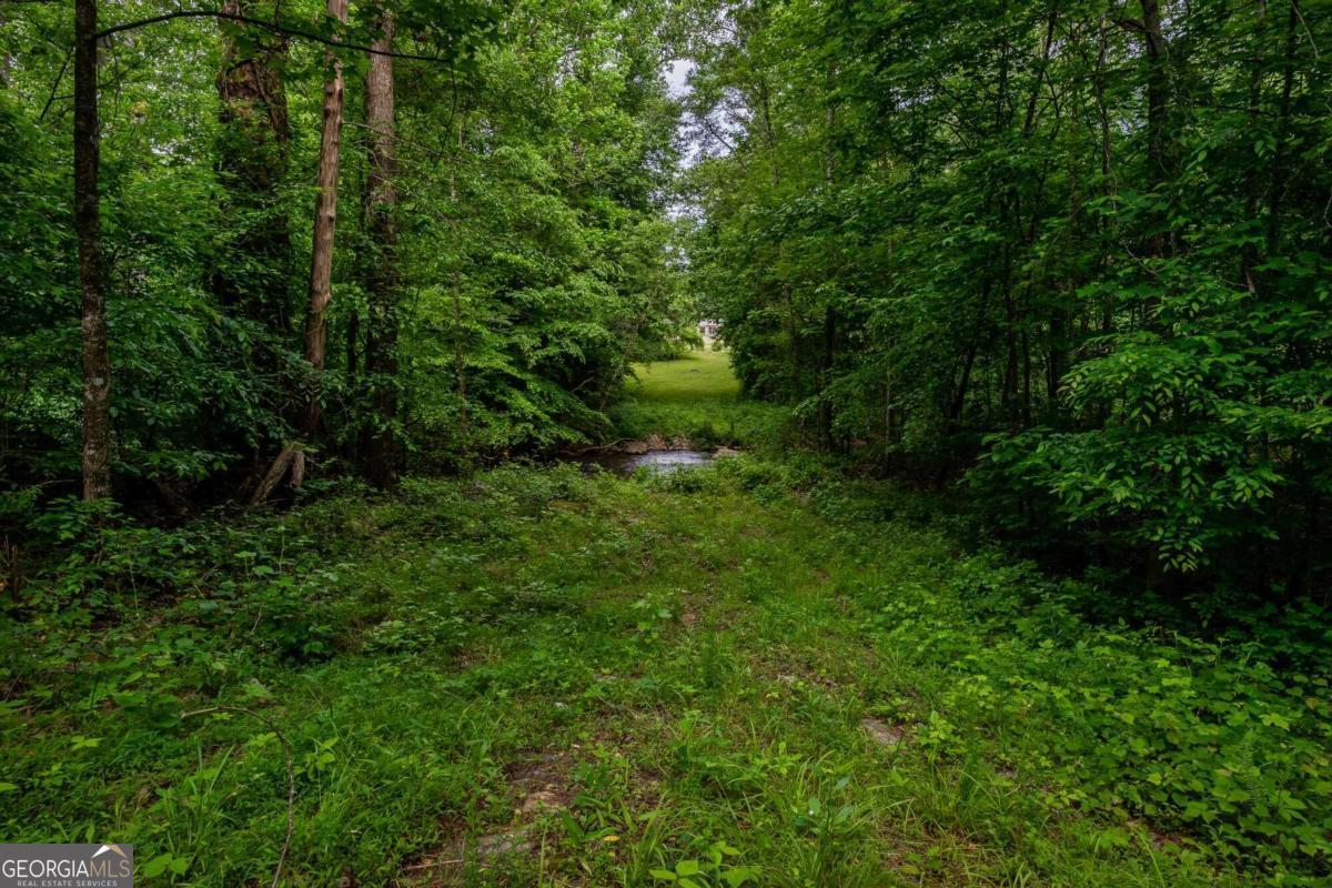 4.5-ac Hickory Flat Road Woodstock, GA 30188 - Photo 17 of 20 a view of a lush green forest