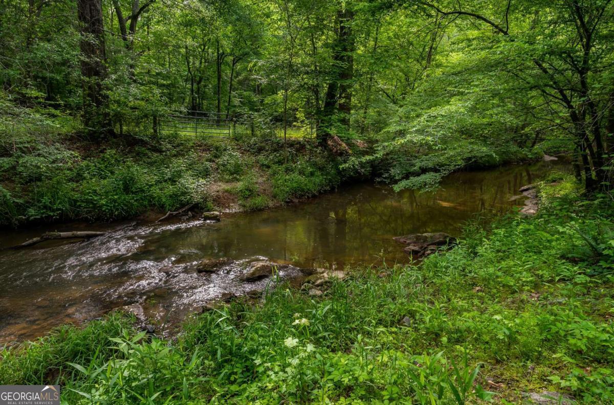 4.5-ac Hickory Flat Road Woodstock, GA 30188 - Photo 18 of 20 a view of lake with a yard