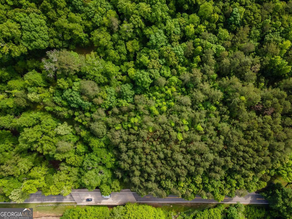4.5-ac Hickory Flat Road Woodstock, GA 30188 - Photo 3 of 20 a view of a yard