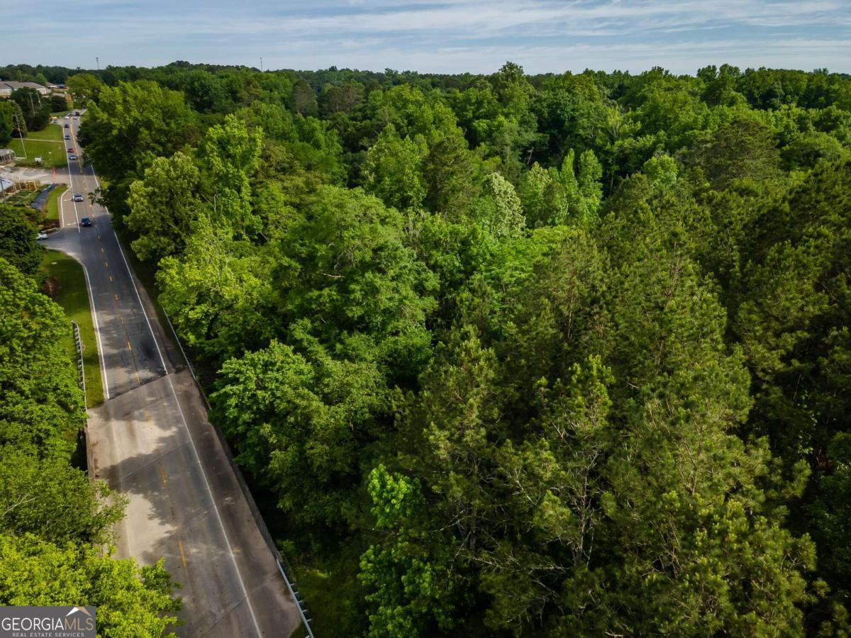4.5-ac Hickory Flat Road Woodstock, GA 30188 - Photo 6 of 20 a view of a garden