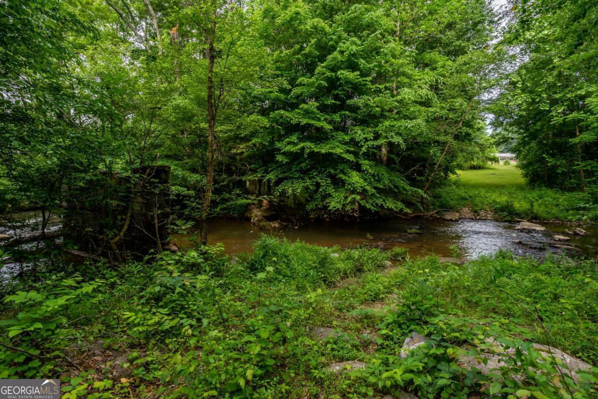 4.5-ac Hickory Flat Road Woodstock, GA 30188 - Photo 7 of 20 a view of a lake with a yard