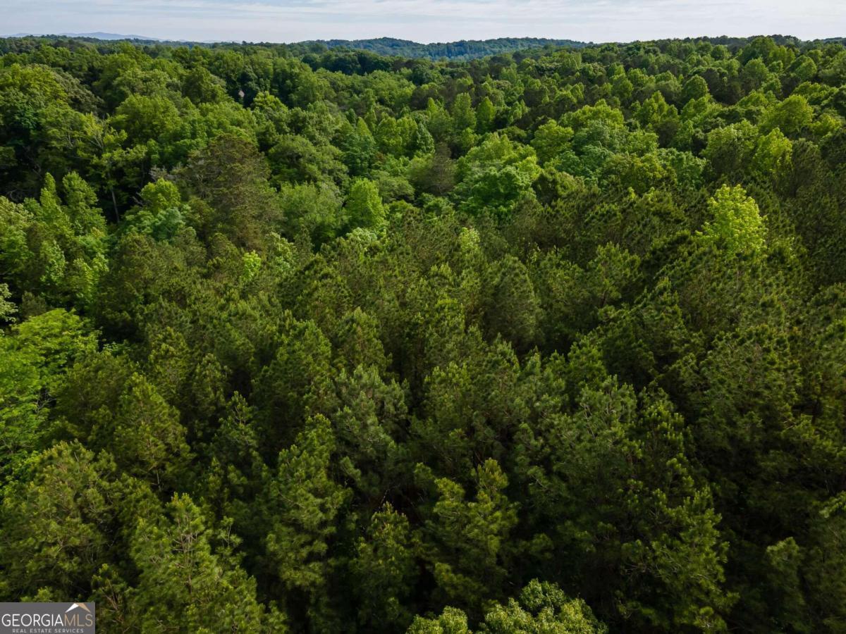 4.5-ac Hickory Flat Road Woodstock, GA 30188 - Photo 8 of 20 an aerial view of a house with a yard