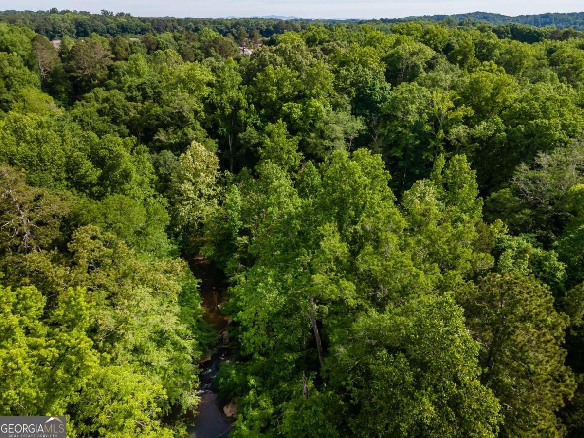4.5-ac Hickory Flat Road Woodstock, GA 30188 - Photo 9 of 20 a view of a lush green forest with houses
