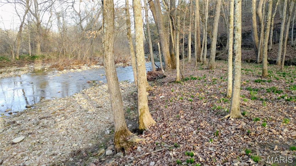 4828 Whitehead Road Hillsboro, MO 63050 - Photo 3 of 46