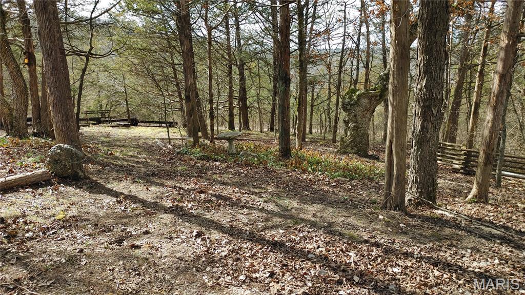 4828 Whitehead Road Hillsboro, MO 63050 - Photo 31 of 46