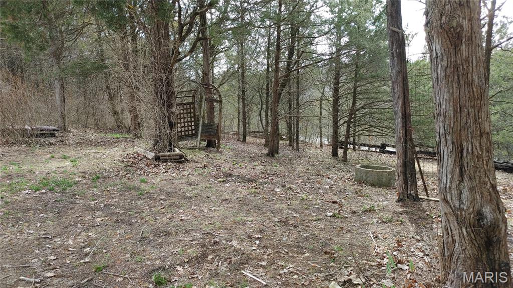 4828 Whitehead Road Hillsboro, MO 63050 - Photo 33 of 46